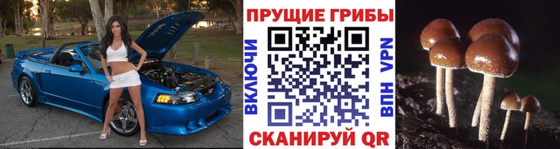 Псилоцибиновые грибы Magic Shrooms Каменногорск